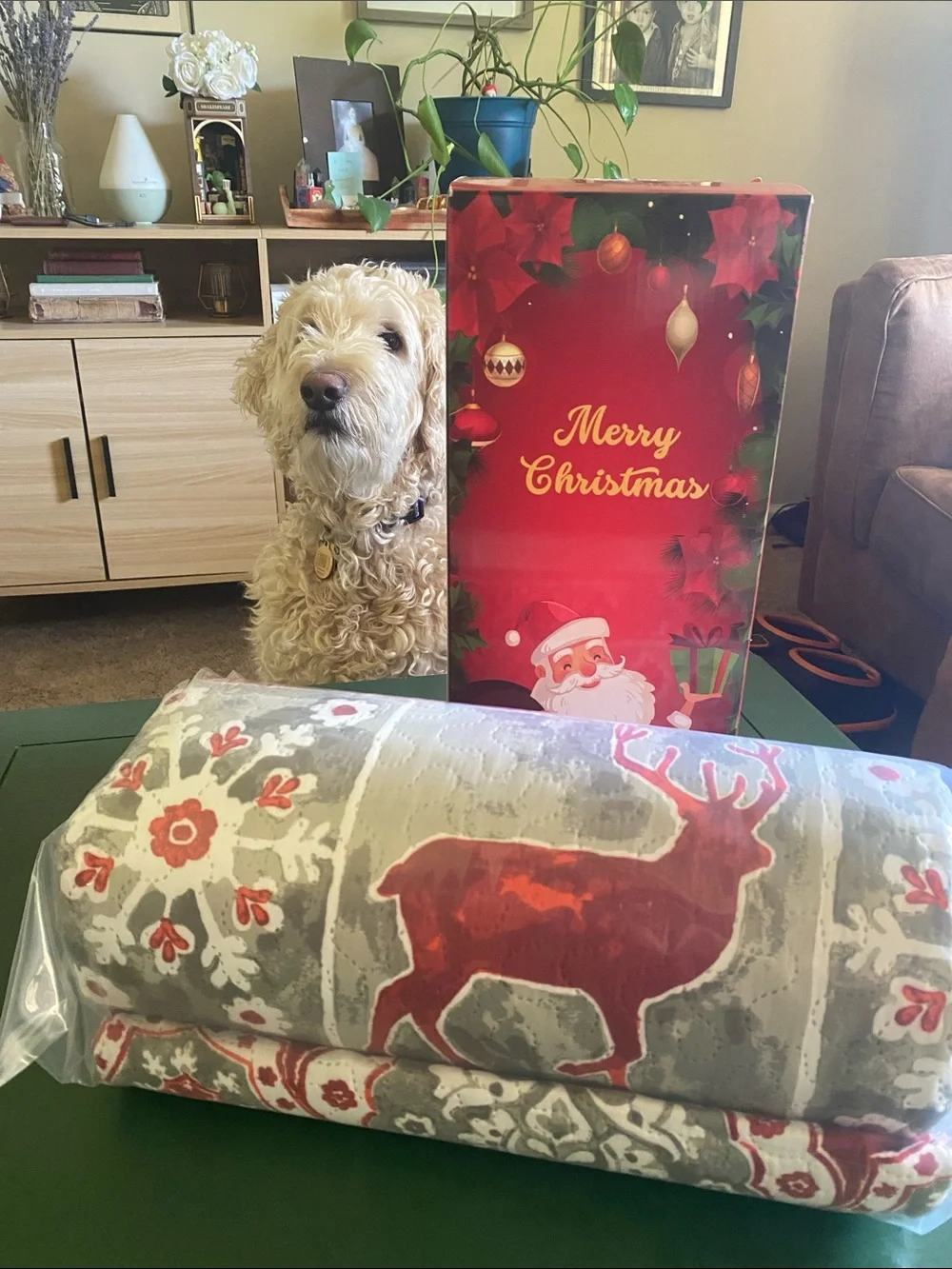 (Queen) Holiday Reindeer Bed Spread Set
